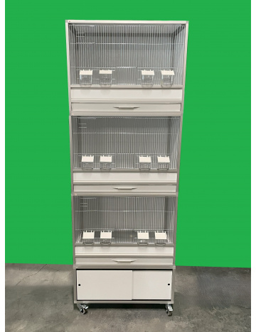 Klatka skrzyniowa - zestaw 01