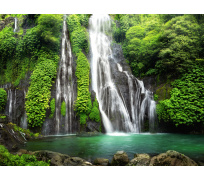 Tapeta do woliery 05