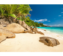 Tapeta do woliery 02